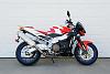 XR1200 or FAT BOB-bike2_edited-1-medium-.jpg