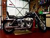 Dyna Low Riders Club-harley-4.jpg