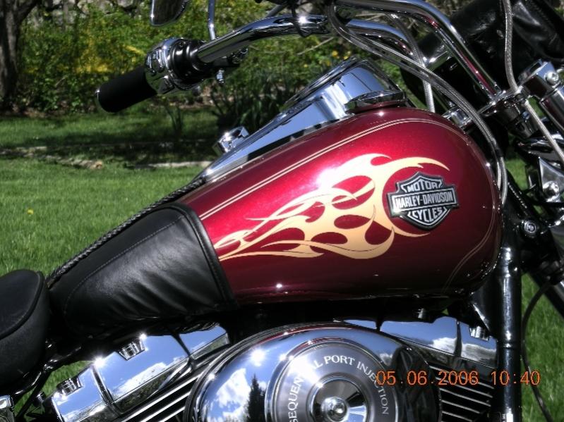 Can't believe I bought a Tank Bra - Page 2 - Harley Davidson Forums