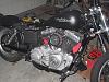 My 09 Street Bob-img_8787.jpg