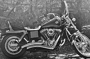 post your wide glide pics-5d5077f0_35ec_4f5c_b44d_1d2e6b18a274_41f2d50ad512677172f53997cc08a04a82199975-2-.jpeg