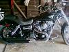 2006 Wide Glide seat - stock-sspx0242.jpg