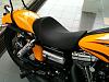 Danny Gray Dyna Solo Seat &amp; HD Quick-Release-3.jpg