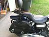 I am selling my backrest and saddlebags for my 2012 Fat Bob FXDF-img_0423.jpg