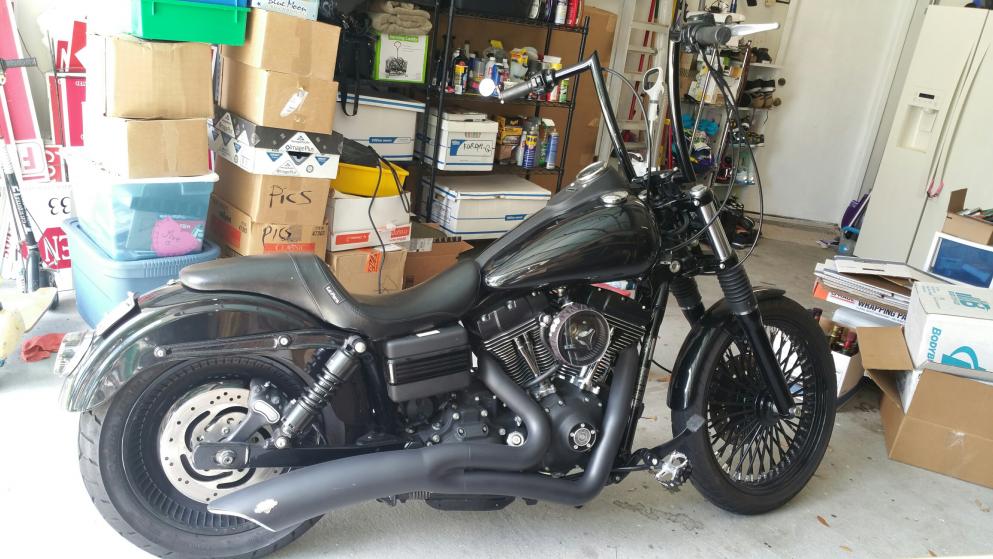 Black 11.5 inch Progressive 412 shocks - Harley Davidson Forums