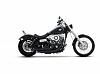 NEW Rinehart-Exhaust-2-2-Staggered-Black harley dyna-00y0y_blj5gnq3oao_600x450.jpg