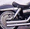 12&quot; FatBob Shocks-000_0132.jpg