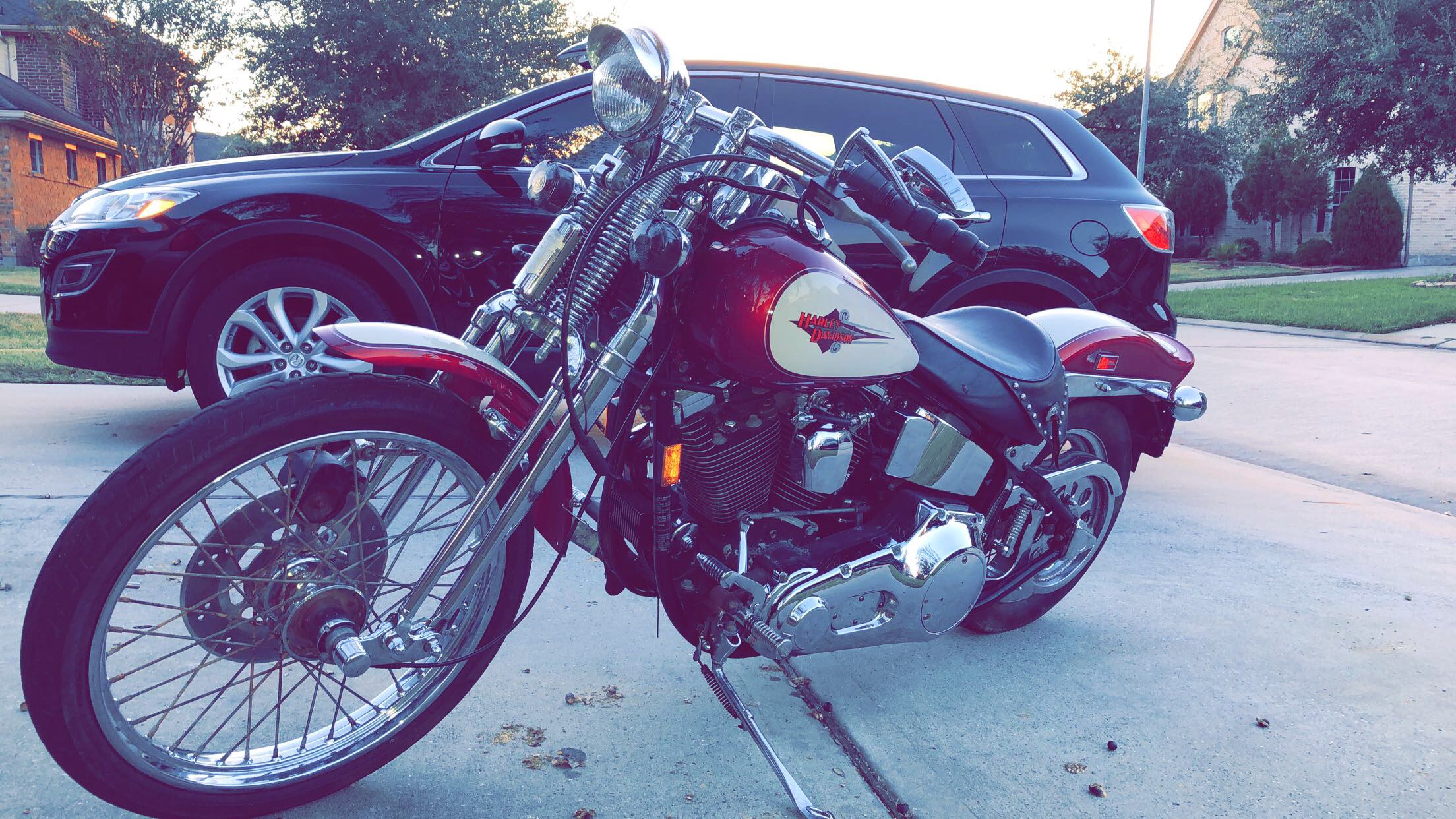 1996 springer softail for sale