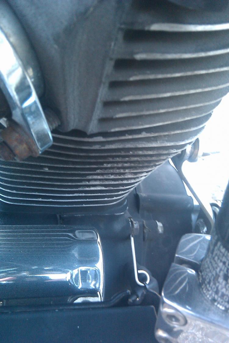 Engine paint peeling Harley Davidson Forums