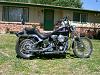 love my 90 FXSTC-hd-softail-custom-2.jpg