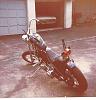 1954 panhead-001-copy-copy.jpg