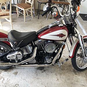 1992 HD Softail Springer FXSTS - sat 11 years-9ee80e50-f1fe-41bc-8a5a-3f82e70353c2.jpeg