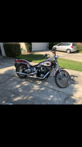 1992 HD Softail Springer FXSTS - sat 11 years-c8e4cb99-7cac-477c-80dc-2b70e3c43732.png