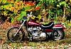 1990 FXR Super Glide Evo set up for Screamin' Eagle 2-into-1 exhaust?-photo.jpg