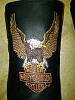 Mens Harley Davidson Hustin Boots w/Embroidered HD Eagle on Front: 13-EE .-032511-132.jpg