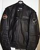 Limited Edition Harley Jacket-dsc04209-copy.jpg