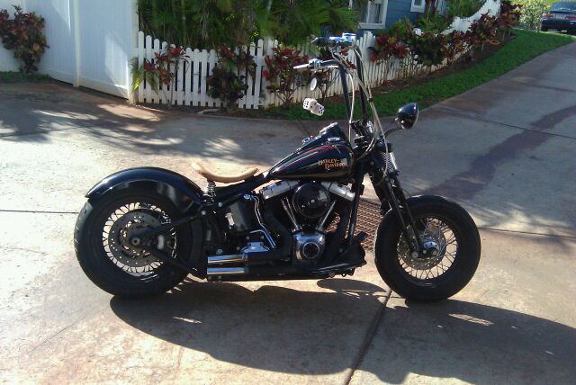 harley crossbones rear fender