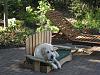 HD leveraged buyout?-dog-days-of-summer.jpg