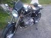 So I couldnt afford a harley-0630002013.jpg