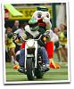 Famous Bikers-duck-20on-20harley_th.jpg