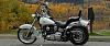 White Harleys-sam_0086b.jpg