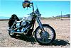 White Harleys-tmp1583.jpg