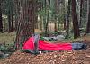 Good sleepin bag-sequoia-6-11-11n.jpg