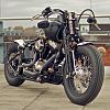 Best Looking Cross Bones I've Seen-harley-softail-1.jpg