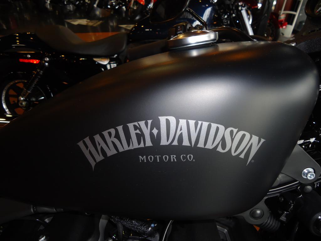 Your favorite fuel tank Emblem Page 10 Harley Davidson 