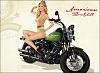 Your favorite fuel tank Emblem-marisa-miller-harley-davidsons.jpg