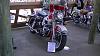 My Daytona Bike Week pics-pic_0285.jpg