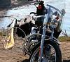 Motorcycle Golf Bag Carrier-surfs-up.jpg