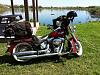 Motorcycle Golf Bag Carrier-img_060525.jpg