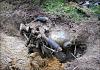 Abandoned &amp; Neglected Motorcycles Rotting Away...-image-3263926635.jpg