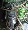 Abandoned &amp; Neglected Motorcycles Rotting Away...-image-1810251658.jpg