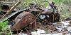 Abandoned &amp; Neglected Motorcycles Rotting Away...-image-2478323388.jpg