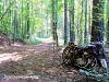 Abandoned &amp; Neglected Motorcycles Rotting Away...-image-2232192063.jpg