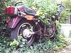 Abandoned &amp; Neglected Motorcycles Rotting Away...-image-2730552925.jpg