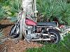 Abandoned &amp; Neglected Motorcycles Rotting Away...-309293_454671141222794_1564661472_n.jpg