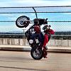 Harley Wheelies on HDF-img_3485.jpg