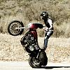 Harley Wheelies on HDF-img_3332.jpg