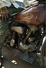 Abandoned &amp; Neglected Motorcycles Rotting Away...-image-686280551.jpg