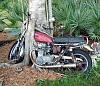 Abandoned &amp; Neglected Motorcycles Rotting Away...-article-0-0ca4f26a00000578-553_308x265.jpg