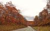 Best fall colors ever.-2015-oct-johnstown-fall-ride-038.jpg