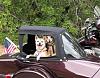 Show us your sidecars-sidecar-dogs3.jpg