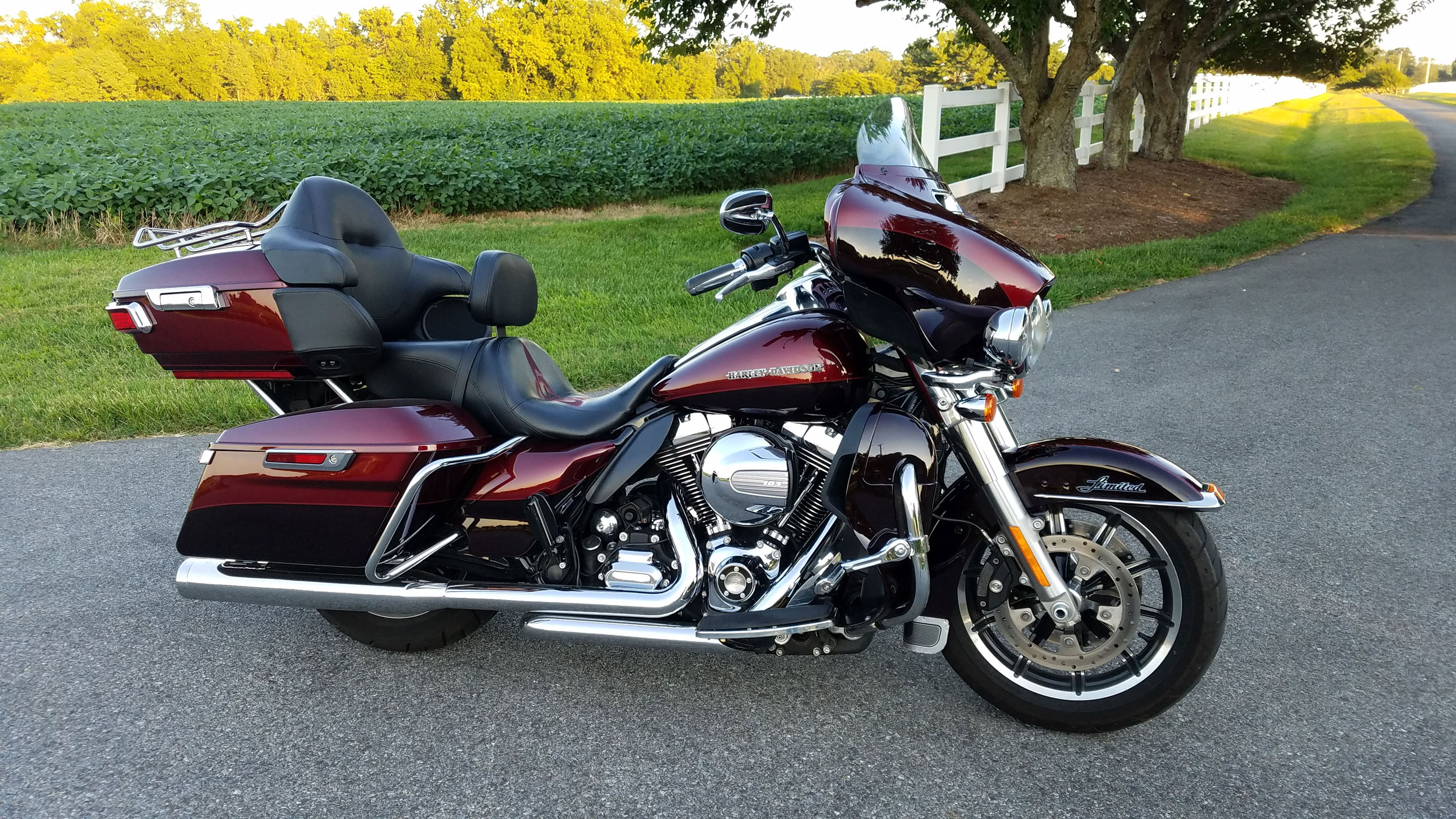 Mean City Cycle seat pics? - Harley Davidson Forums