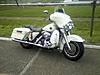 White Harleys-img_0587.jpg