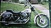 White Harleys-1981-shovel.jpg