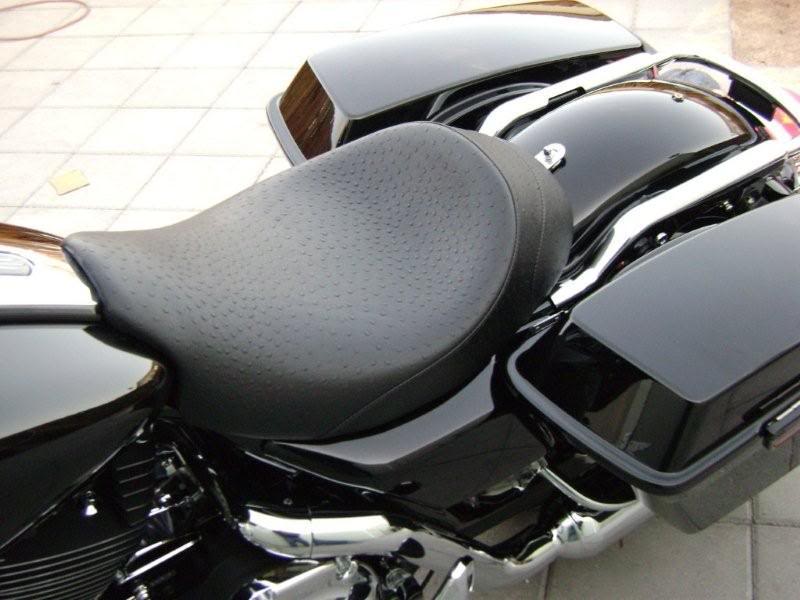 Name:  08Ostrichstreetglide013.jpg
Views: 835
Size:  58.8 KB