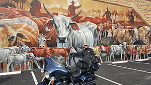 NC Wild Hogs Ride - Day 4 In The Books-20171229_141902.jpg